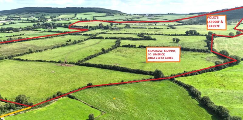 Dairy farmer wins the day at multimillion-euro auction of 210 acre Limerick farm