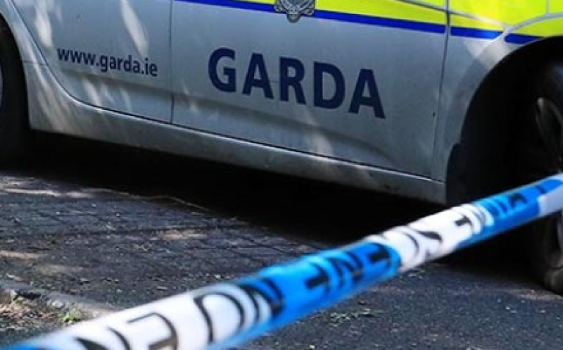 Petrol sourced despite shortages to make firebomb for Limerick attack