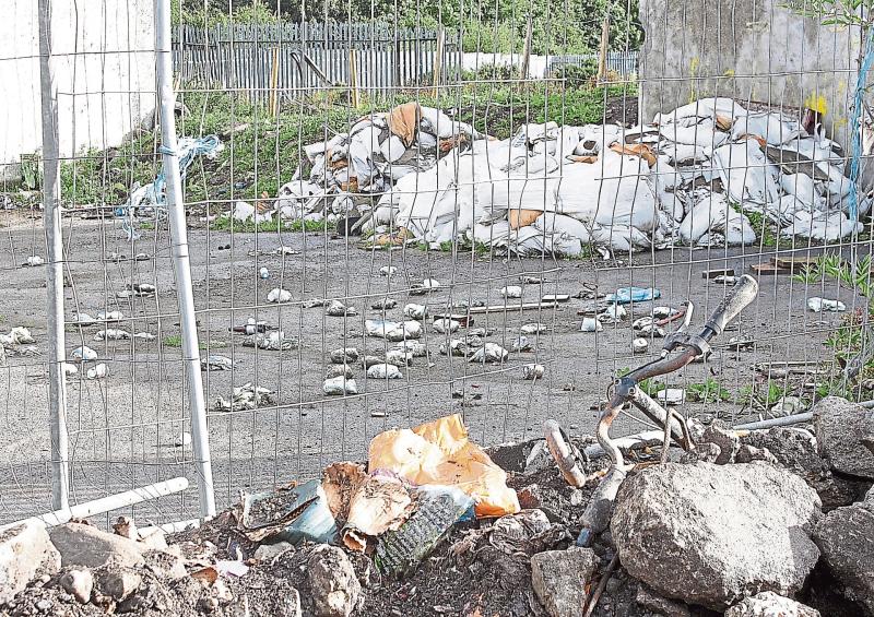 Cost of tackling illegal dumping across Limerick is revealed