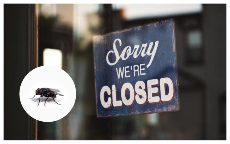 'Covered with flies' - Limerick takeaway ordered to  close amid health concerns