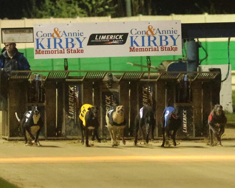 Limerick GAA and greyhound community set for final of &euro;160,000 Con & Annie Kirby Memorial
