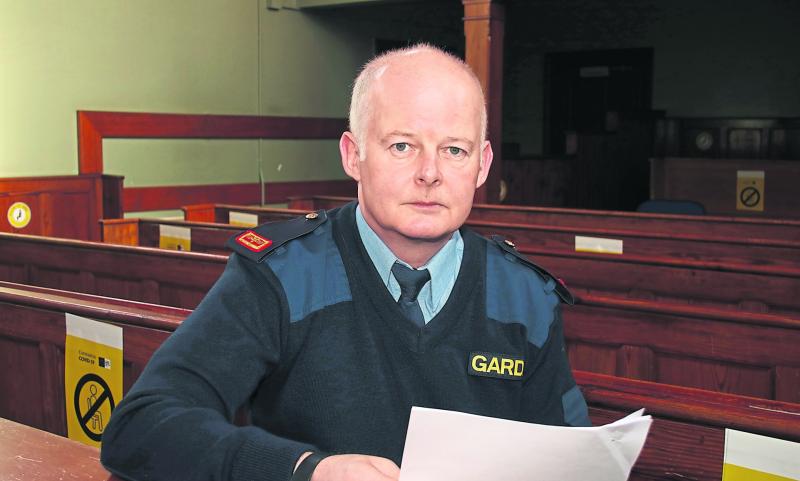 Limerick gardai hunt down burglars who targeted pensioner