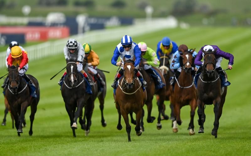 RACING: The horse worth a bet in this weekend's Epsom Derby 