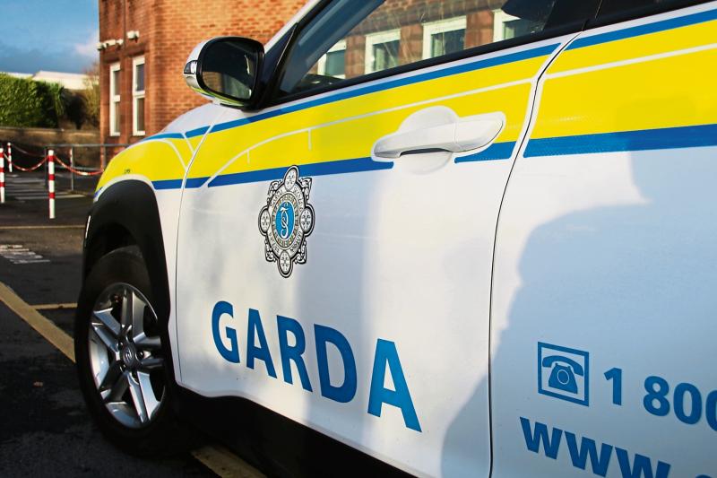 Thieves abandon car stolen in Limerick village after getting flat tyre