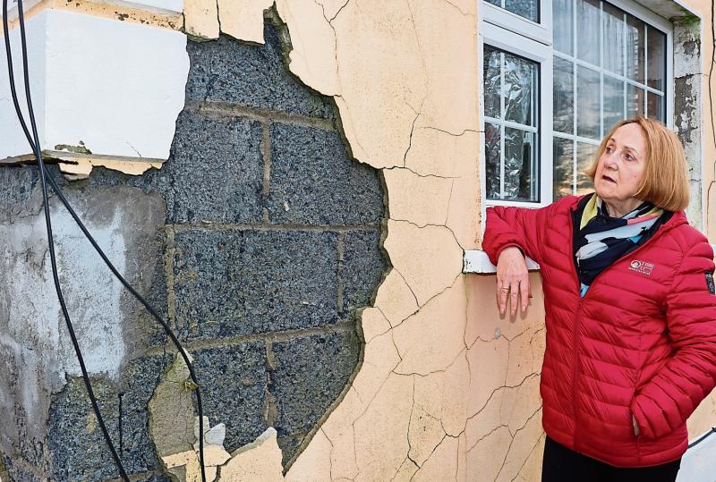 Limerick pyrite campaigners come together to demand action