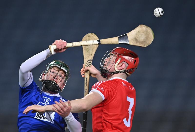 Stunning second half display powers Limerick's Monaleen to All-Ireland glory