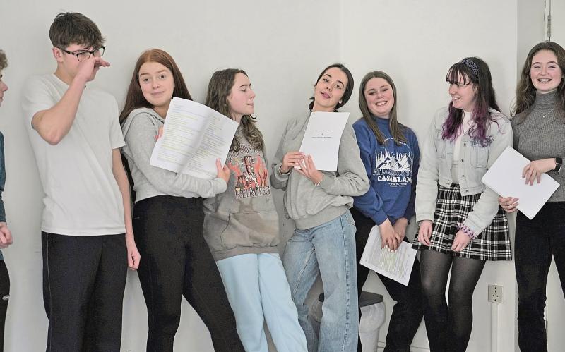 Limerick TY students to step into the spotlight