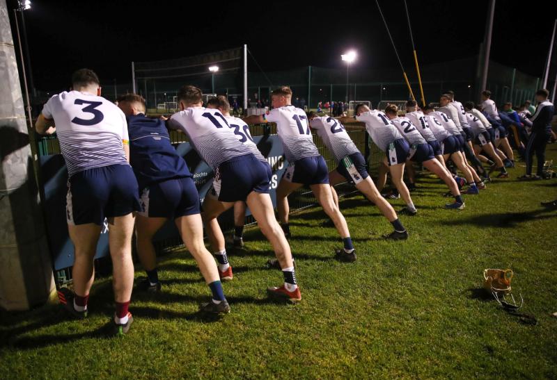 UL Fitzgibbon Cup