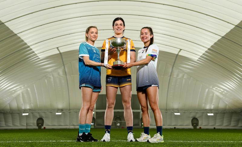 Limerick's UL aiming for O'Connor Cup Final