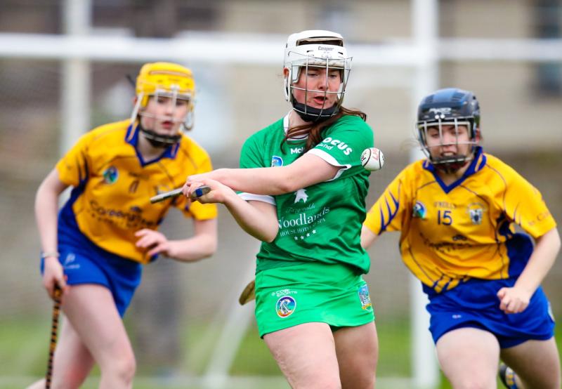Limerick's All-Ireland minor camogie final fixed for Nowlan Park