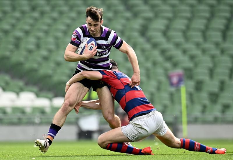 Limerick duo help Terenure win All-Ireland league title
