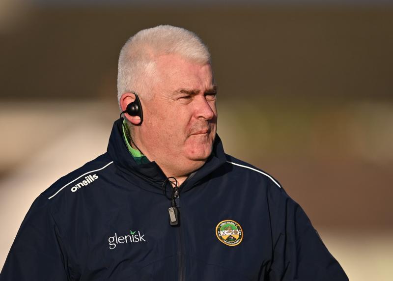 Limerick senior hurling season so far - The Experts
