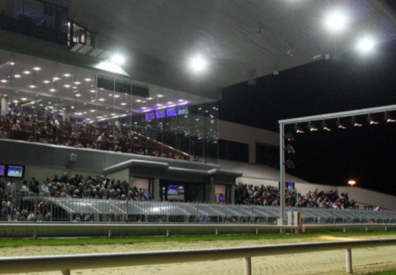 Limerick Greyhound Stadium