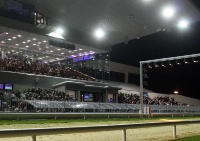 Limerick Greyhound Stadium