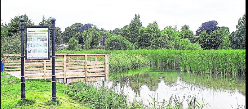 All About Wildlife: From the Dock Road to Westfields 