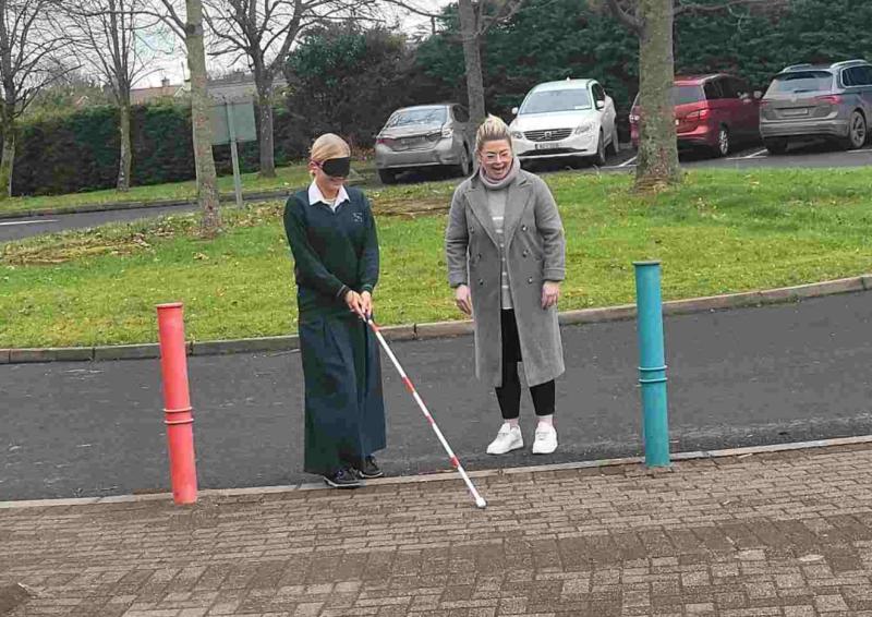 Limerick students join in deafblind project