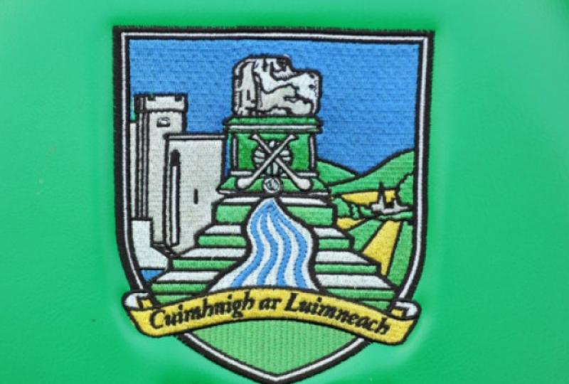 Limerick Football Academy squads named for three tournaments 
