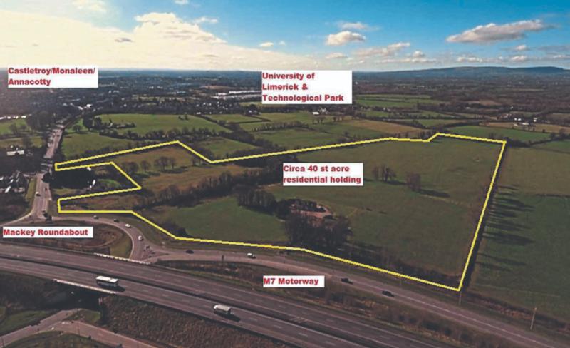 Nearly 40 acres on outskirts of Limerick city goes under the hammer 