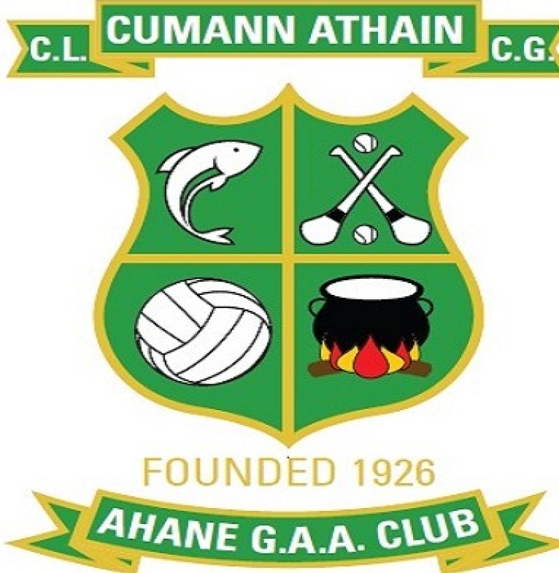 Limerick GAA club to host double football blitz as Gaelige