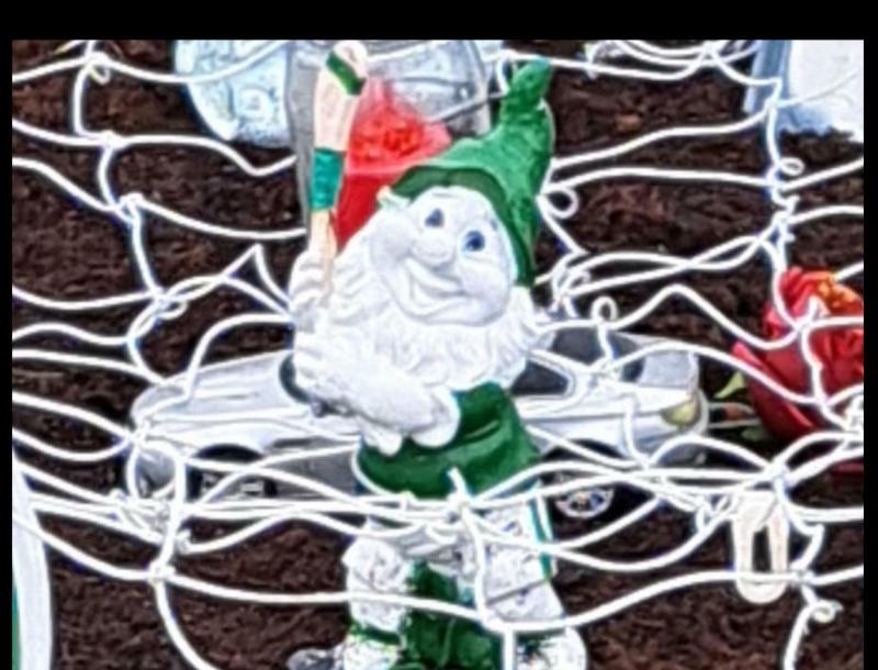 Limerick people incensed at theft from teenager's grave