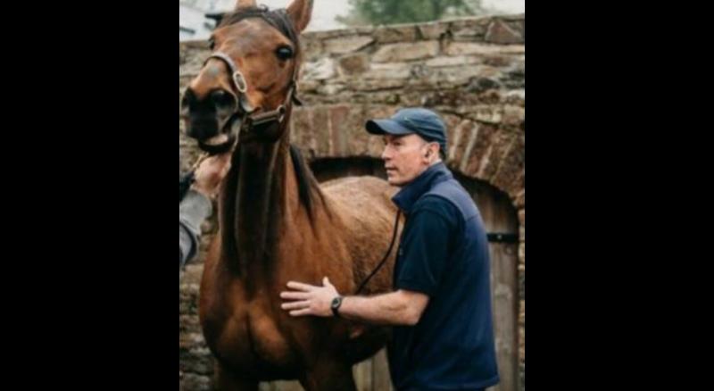 Funeral details announced for Limerick vet who passed away in France