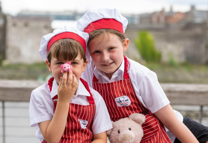Popular festival returns to Limerick this weekend 