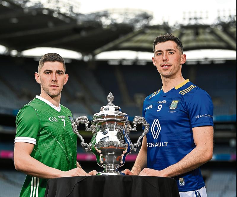 Fitzgerald praises players after reaching Tailteann knock-out stages