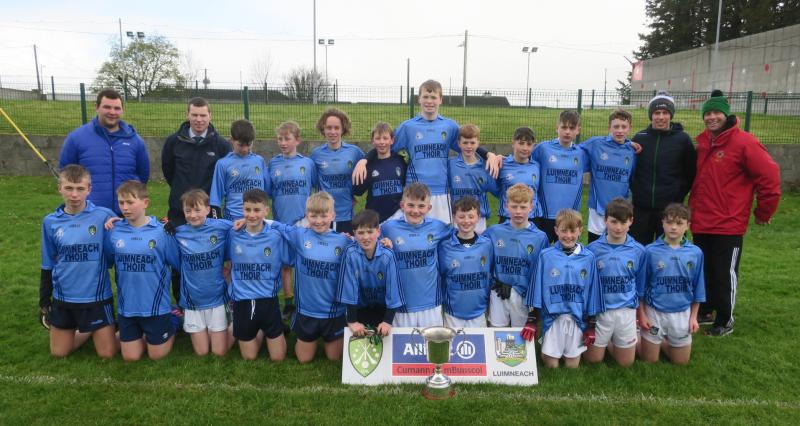 East Limerick claim Sarsfield Cup to complete famous double 