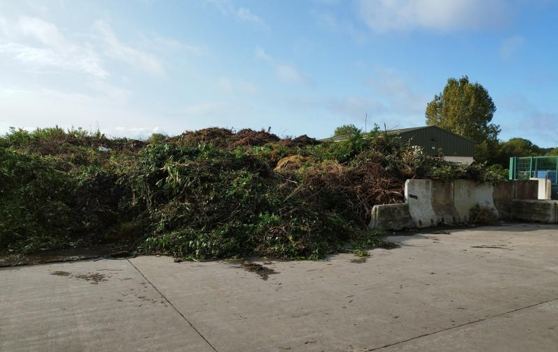 Limerick recycling centre shares update on green waste 