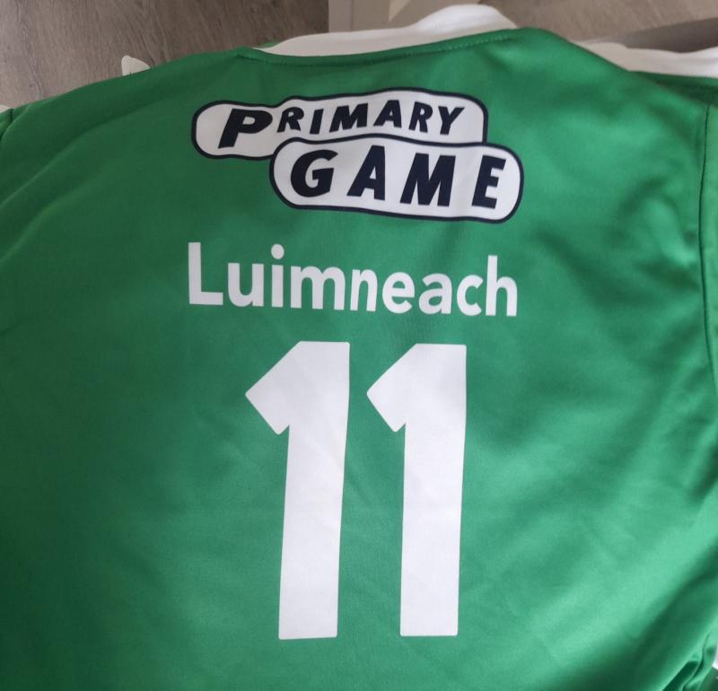 Limerick camogie panel selected for Primary Game with Waterford during