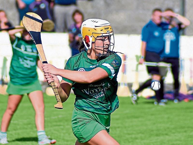  Sideline sub-plot as Limerick face Galway in All Ireland Camogie Championship