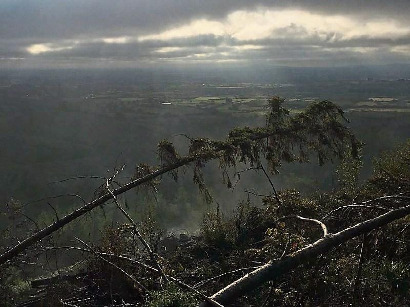Emergency crews battle forest fires overnight in Limerick