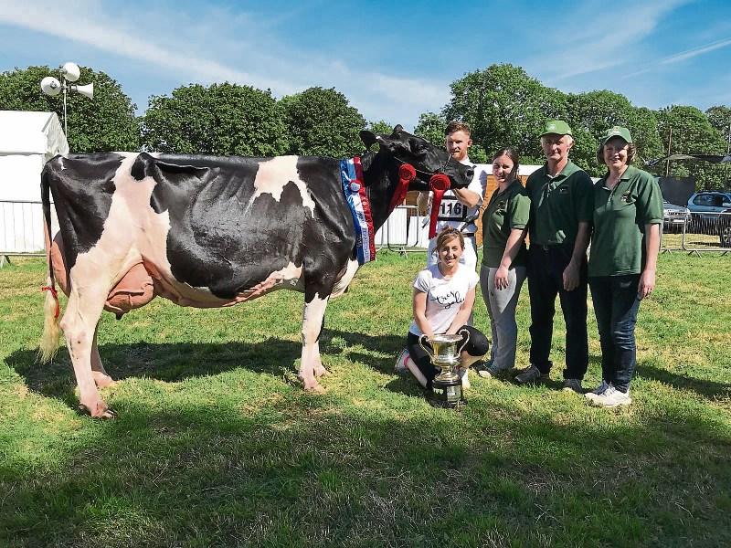 Charleville Show champion: Donal, Kathleen, Thomas, Ann and  Caitriona Neville, Croagh with Milliedale Dusk Rhapsody (EX94)