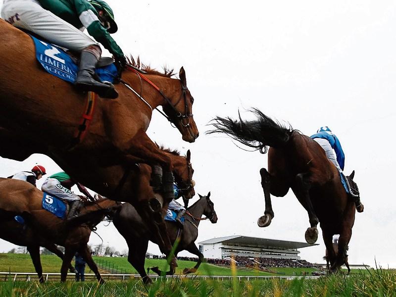 Limerick Racecourse hosts two-day St Patrick's Weekend fixture