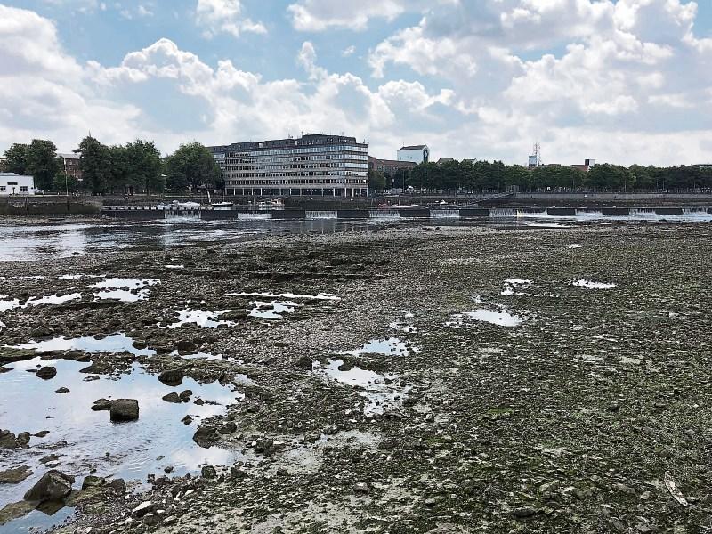 A mere trickle. The River Shannon in Limerick City pictured at low-tide at approximately noon on Wednesday July 11 Picture: Will O’Connor