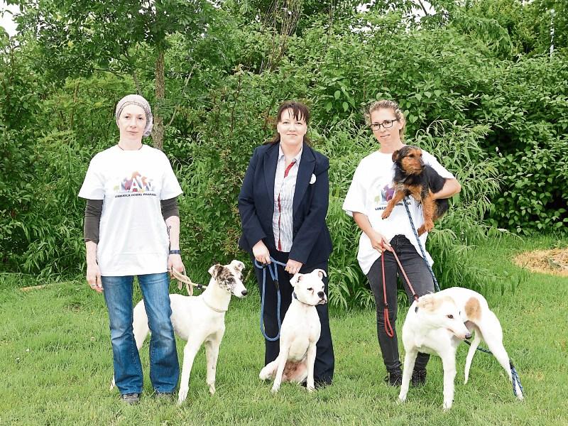 Every little helps: Limerick Animal Welfare sanctuary volunteer Katherine McCrann, Rachel Judge, Tesco, Audrey Parent