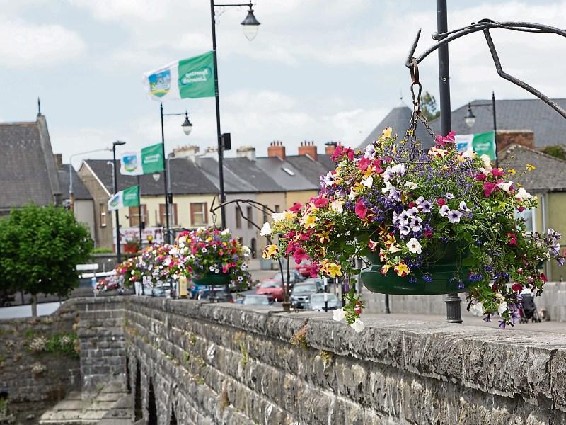 Some of the flowers on Thomond Bridge and, below, The Crescent, Charlotte's Quay and the Curragower Park Picture: Press 22