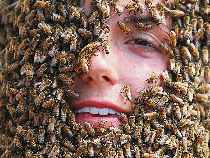 Değişik Bilgiler panosundaki Pin