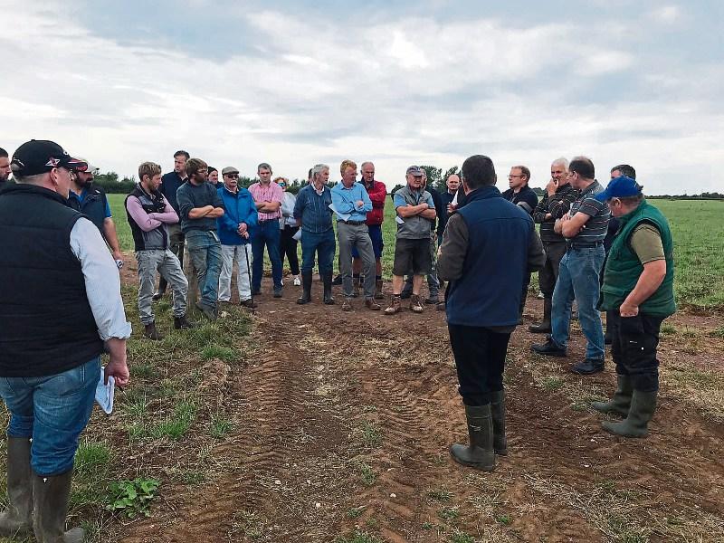 Limerick farmer shows how to make the best of a bad situation