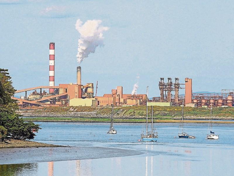 River Shannon in Limerick is 'littered', says Ibal