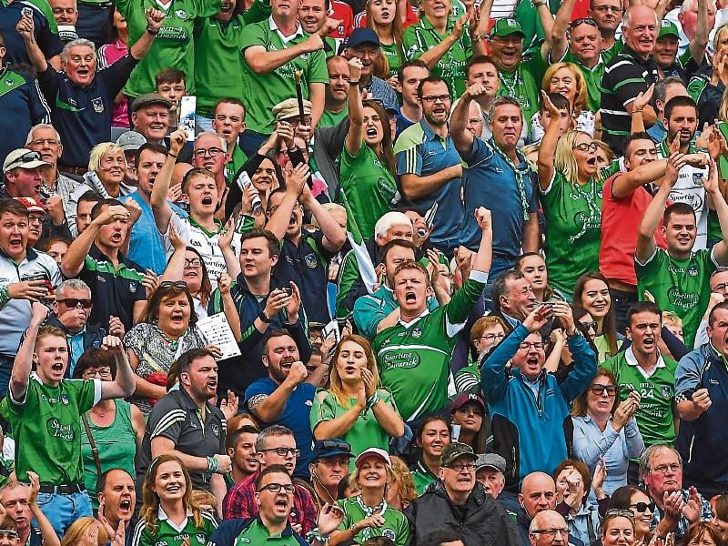 Limerick fans: 40,000 are expected at Croke Park Picture: Piaras Ó Mídheach/Sportsfile