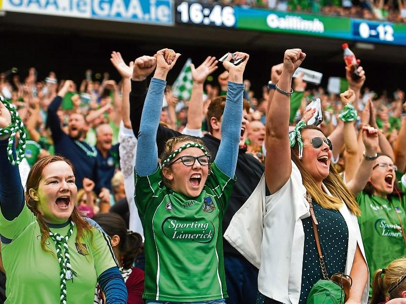 WATCH: ‘This is the best feeling ever!’ - Sheer delight as Limerick fans react to triumph