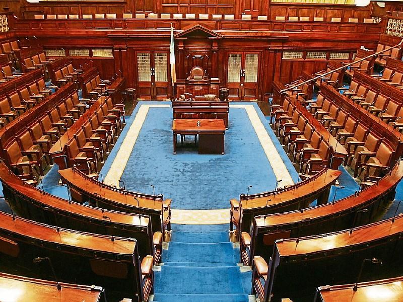 Green Party Minister holds off on vote of National Maternity Hospital