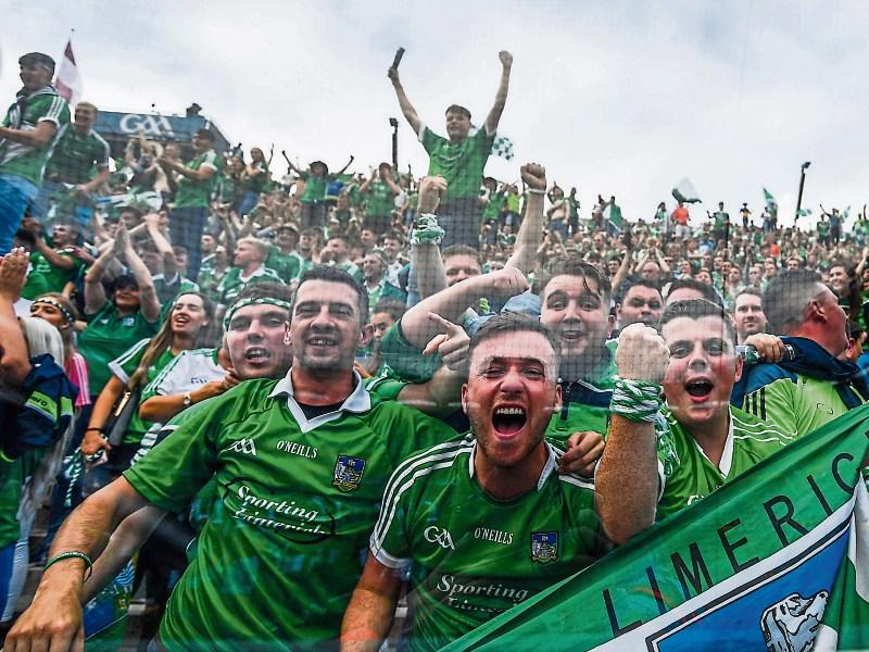 In the promised land: Limerick fans at the All-Ireland final in Croke Park Picture: Sportsfile