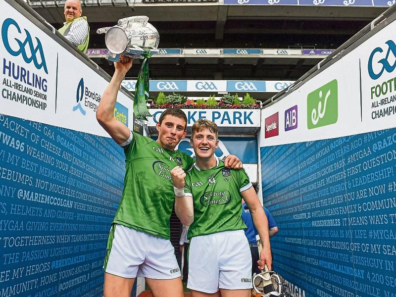 45 years of Limerick hurling heartbreak over in an instant