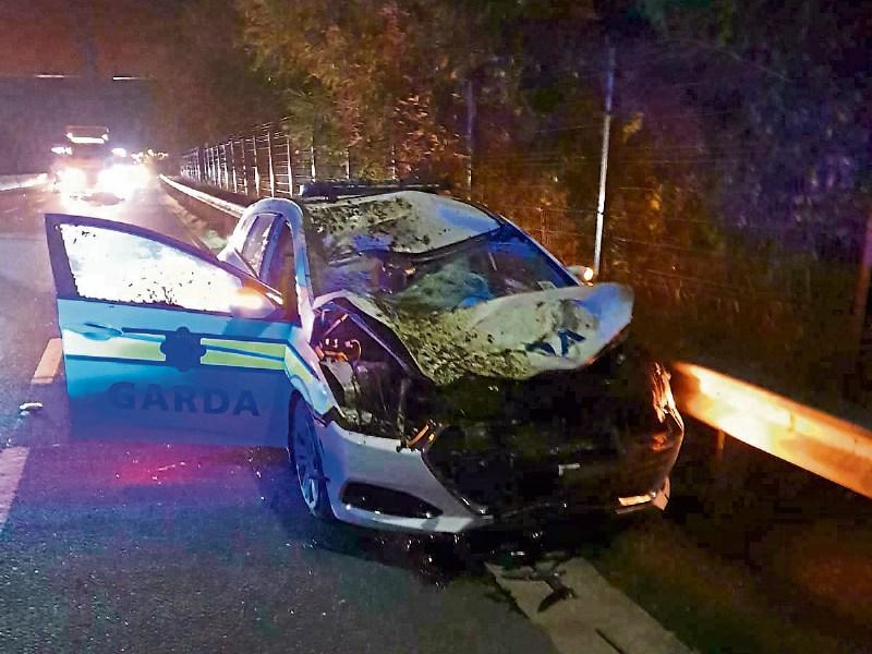 Gardai hospitalised after horse hits patrol car in Limerick city 