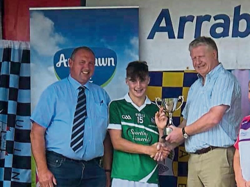 Limerick Underage Hurling Academy tournaments round-up