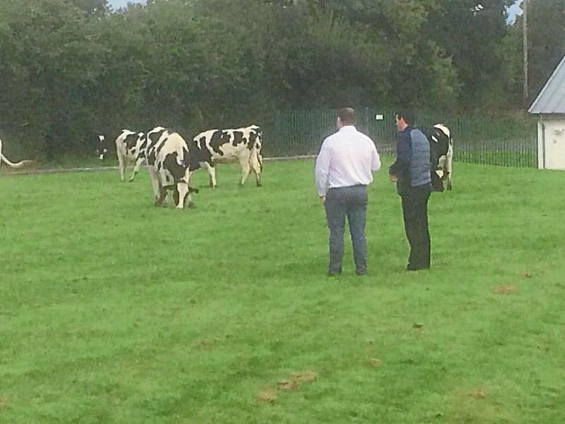 Padraig Flanagan, principal, politely described it as “a rather different start to the first day”