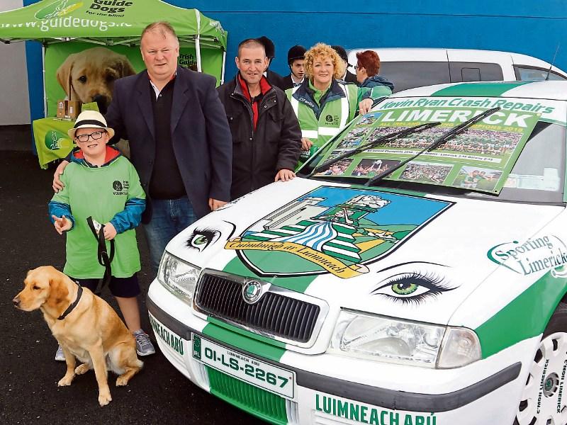 Luimneach Abu! DJ Grimes, Bruff, Paul Quinn, Theresa Ryan and Tomas Walsh with this expertly painted car down to the green eyes Picture: Brendan Gleeson