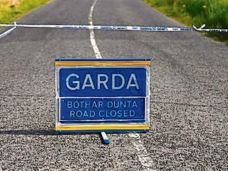 BREAKING: Elderly man dies following hit and run near Limerick village